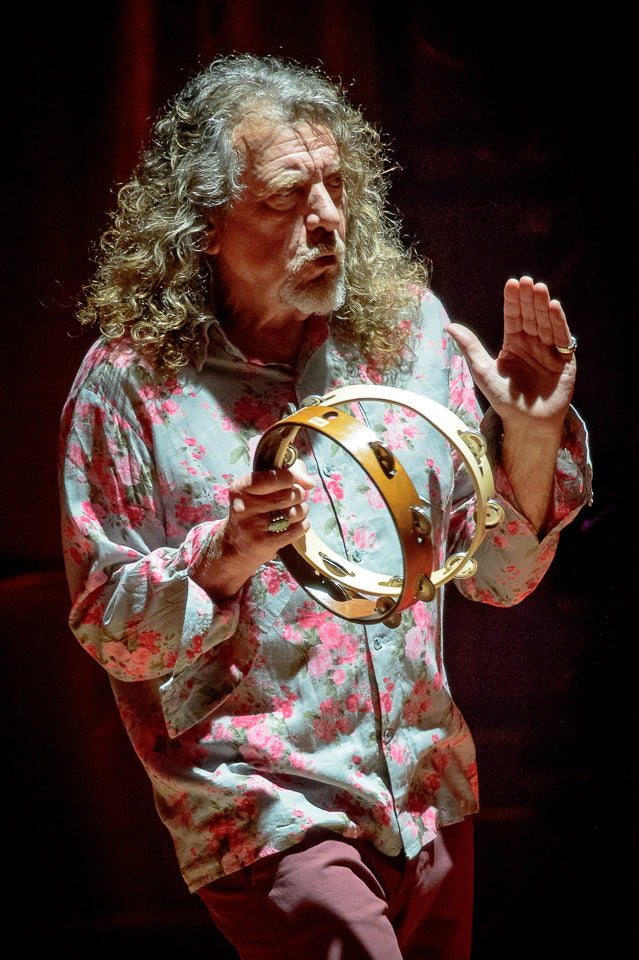 Robert Plant by Igor Vidyashev