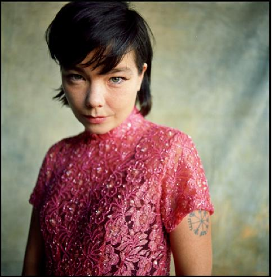 Bjork by Danny Clinch