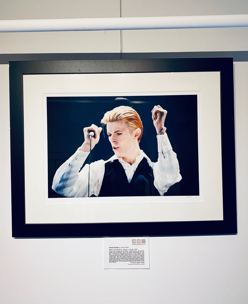 David Bowie - Framed 16x20 Image