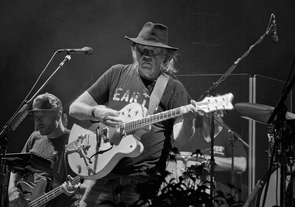 Neil Young by Danny Williams