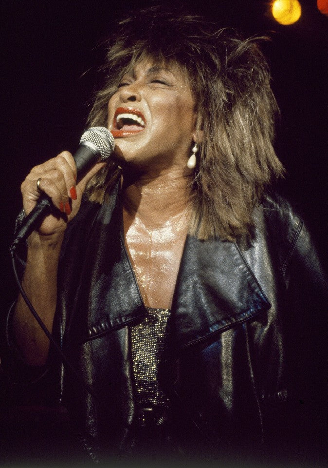 Tina Turner by Patrick Harbron