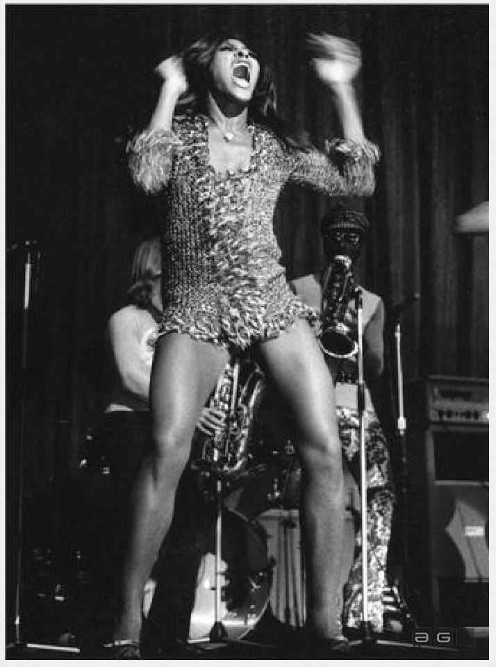 Tina Turner by Barrie Wentzell