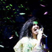 Bjork – Analogue Gallery