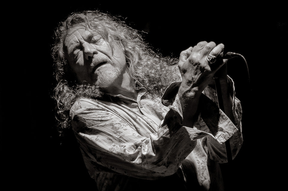 Robert Plant by Igor Vidyashev