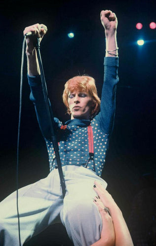 David Bowie - (DB001PPOST)