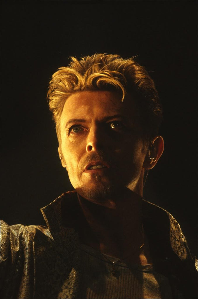 David Bowie - (DB013AT)