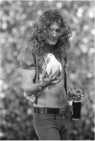 Robert Plant by Neal Preston