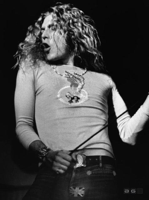 Led Zeppelin - Framed 16x20 Image