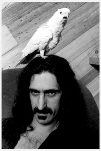 Frank Zappa - (ZA001NPRES)