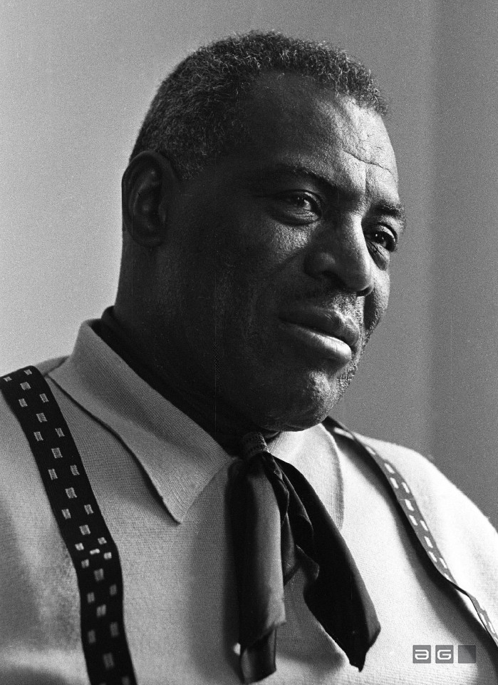 Howlin Wolf by Barrie Wentzell