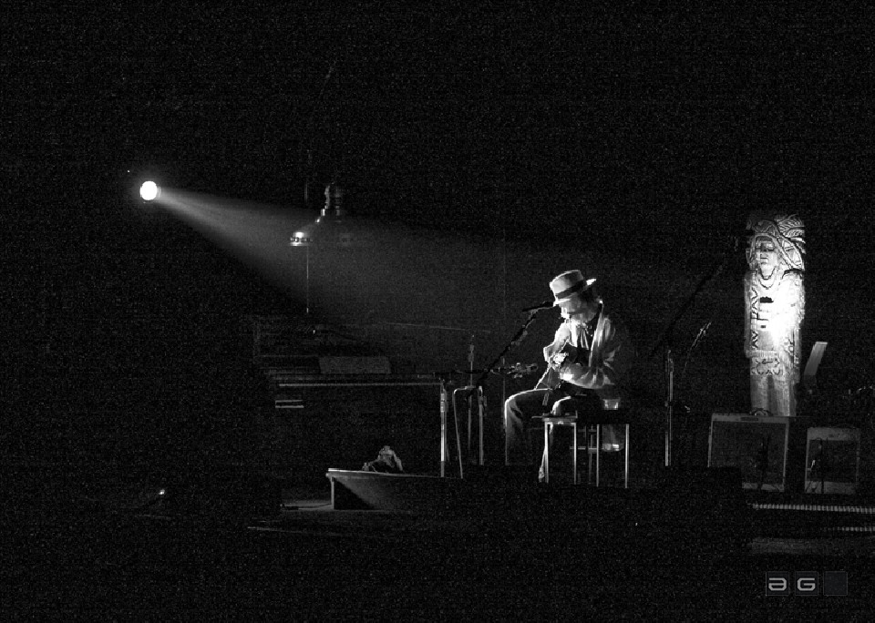 Neil Young by Lucia Remedios